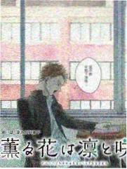慢综艺专题配图 厨房与潮汐元素